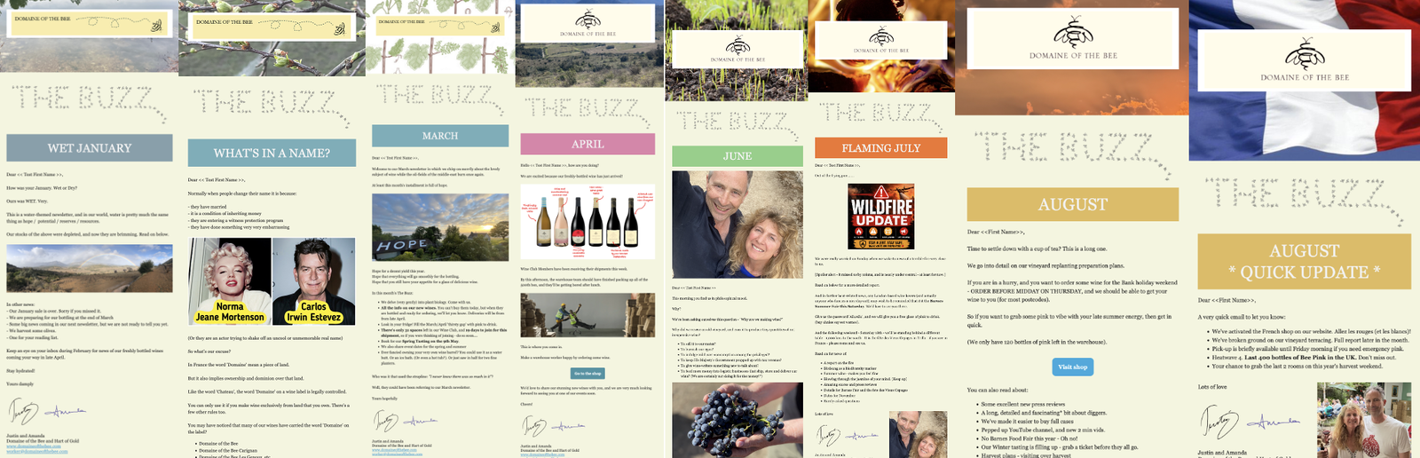 A selection of images of previous newsletters